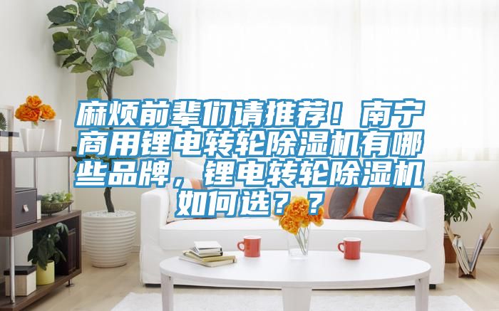 麻煩前輩們請(qǐng)推薦！南寧商用鋰電轉(zhuǎn)輪除濕機(jī)有哪些品牌，鋰電轉(zhuǎn)輪除濕機(jī)如何選？？