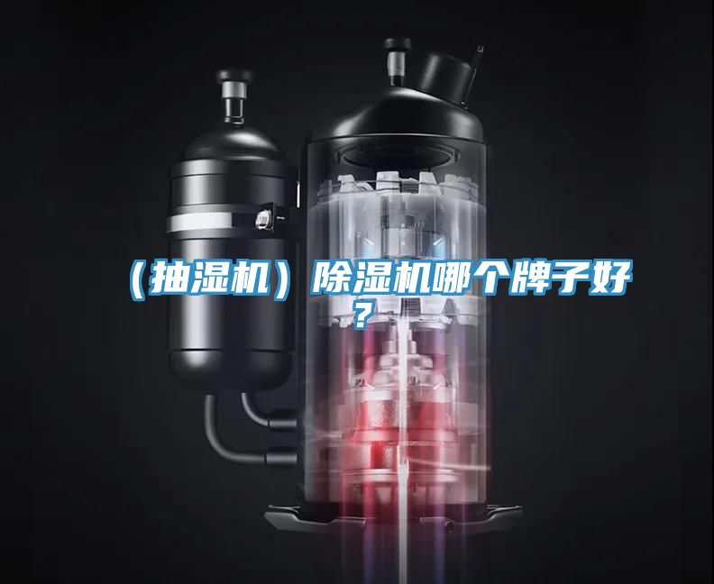 （抽濕機(jī)）除濕機(jī)哪個(gè)牌子好？